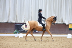 SBM_021291