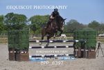 BPP_8397