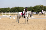 SBM_003486