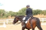 SBM_006413