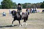 WJ7_3691