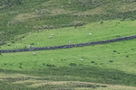 Skiddaw-4