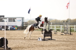 SBM_003253