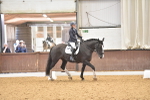 SBM_010311