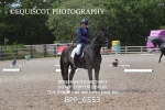 BPP_6553