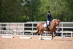 WJ6_6903