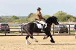 SBM_001706