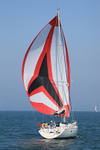 190825 PELOGISA - OCEANIS 361 1Y3A2462