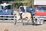 BPP_8469