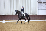 SBM_003206