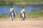 WJ6_8864