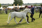 SBM_00572