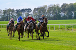 020526-Race 5-Emperor Caradoc-9874