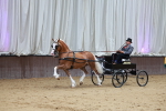 SBM_000543