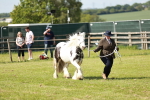 SBM_08622