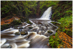 Autumn at the glen, Gleno (IMG1098)