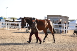 SBM_08379