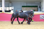 SBM_04381
