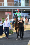 Race 5 16.10pm William Hill, Market Place, Thirsk Handicap portfolio