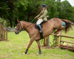 Dunblane show-660