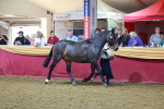 SBM_14954