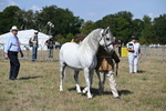 WJ6_4745