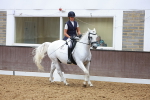 SBM_001331