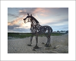 'Lifeboat Horse' Wells Quay