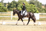 SBM_003636