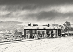 Cow and Calf Pub