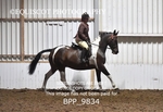 BPP_9834