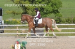 BPP_5586