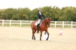 SBM_002313