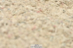 230701A-145815-06999