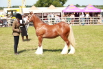 SBM_08628