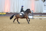 SBM_001862