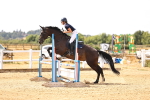 SBM_000654