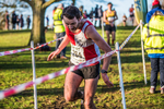 Cumbria XC-406