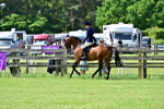 SBM_03785