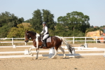 SBM_006999