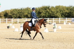 SBM_016946