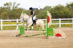 SBM_003886
