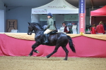 SBM_09732