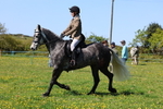 3E7A9561