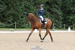 237-Therese.Viklund-IMPERIAL.PLAN portfolio