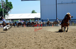 3HRodeo8-11-25_PRCASteer_01852_