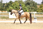 SBM_004088
