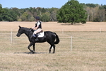 WJ6_8829