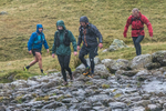 Langdale-896