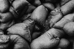 Sandbags (Shanghai) #1